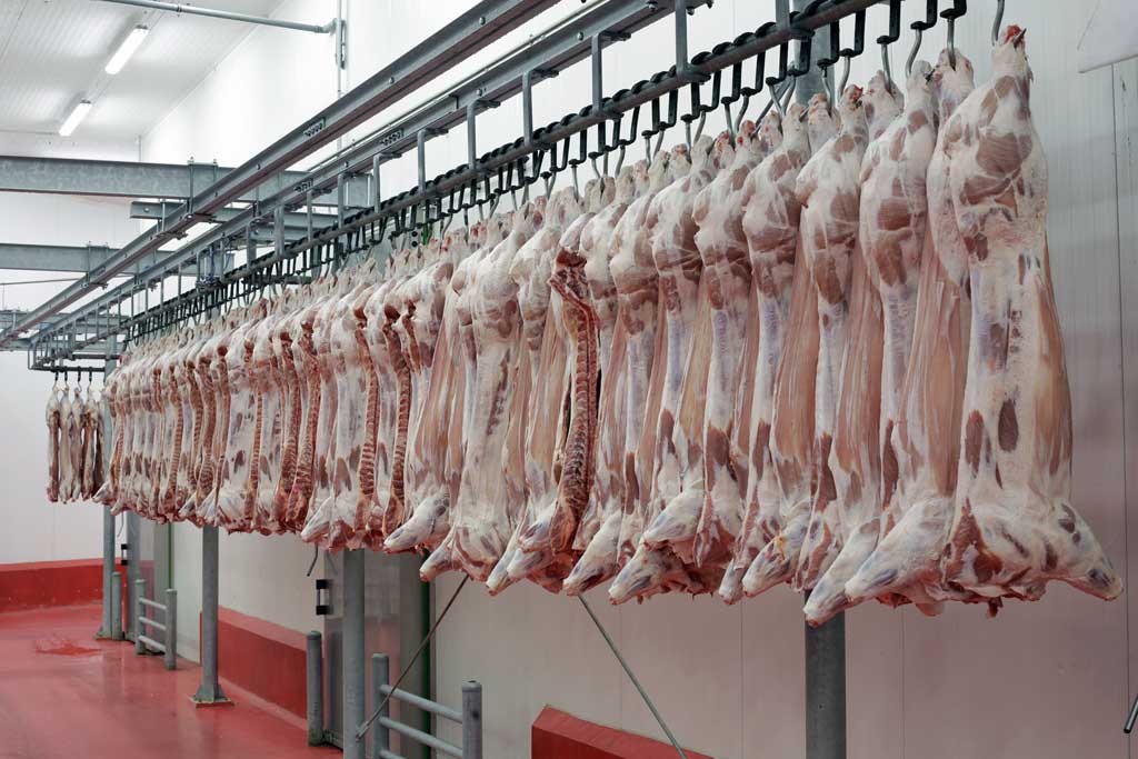 Німечина домовляється з Китаєм про експорт свинини. Що думають аналітики?