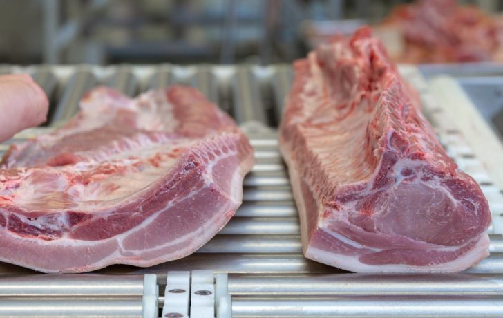 удосконалення свиней Topigs Norsvin