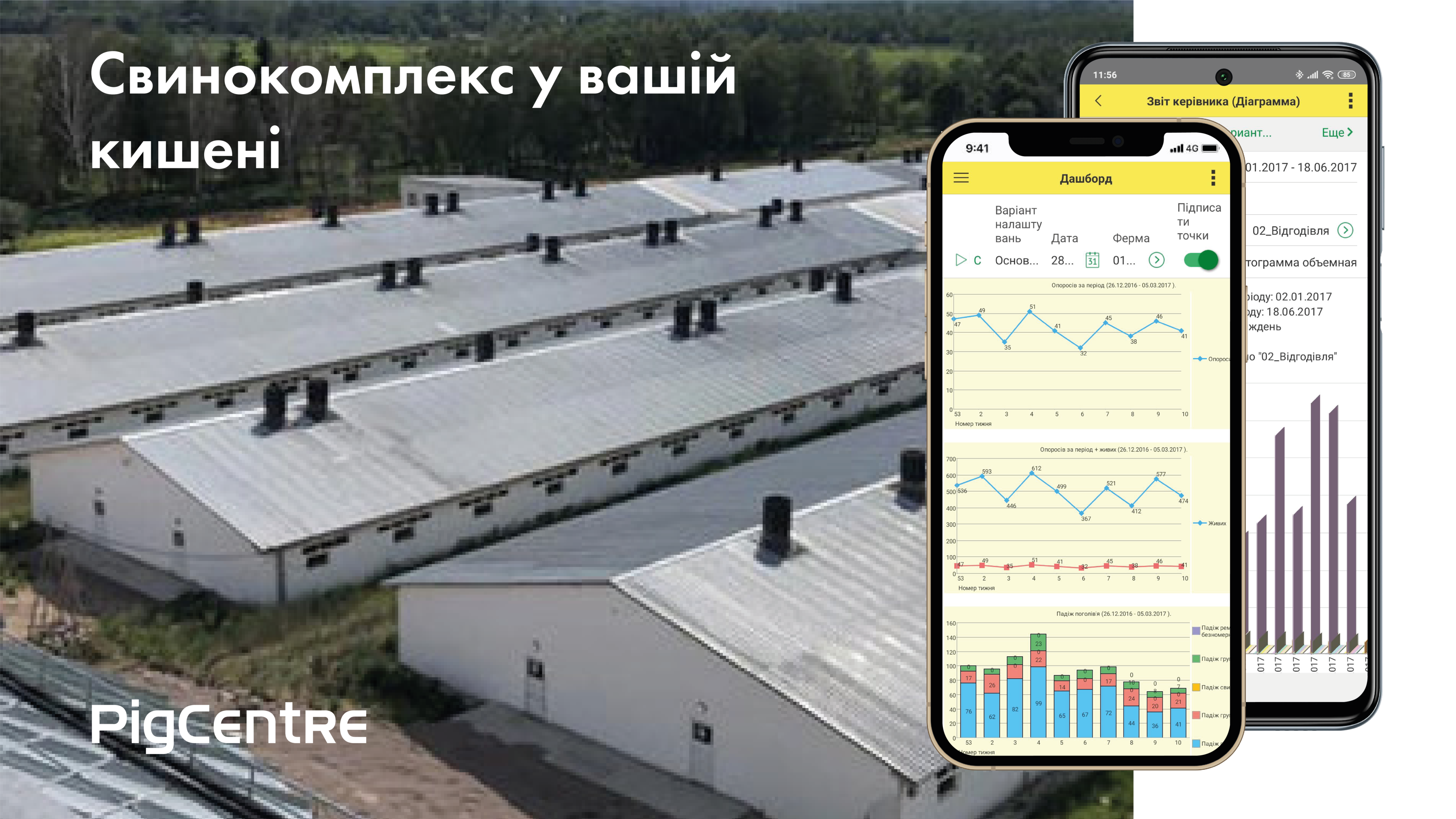 мобільний додаток Пігцентр - свинокомплекс у смартфоні
