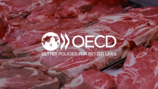 Прогноз ОЕСР-ФАО щодо виробництва м’яса у світі до 2030 року