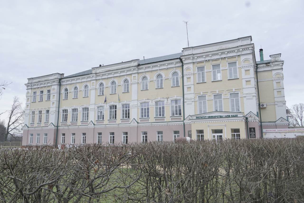 Директор Інституту свинарства заборонив аудиторську перевірку установи