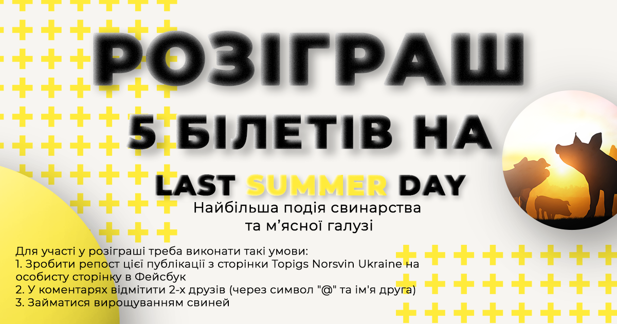 Topigs Norsvin розігрує 5 квитків на Last Summer Day