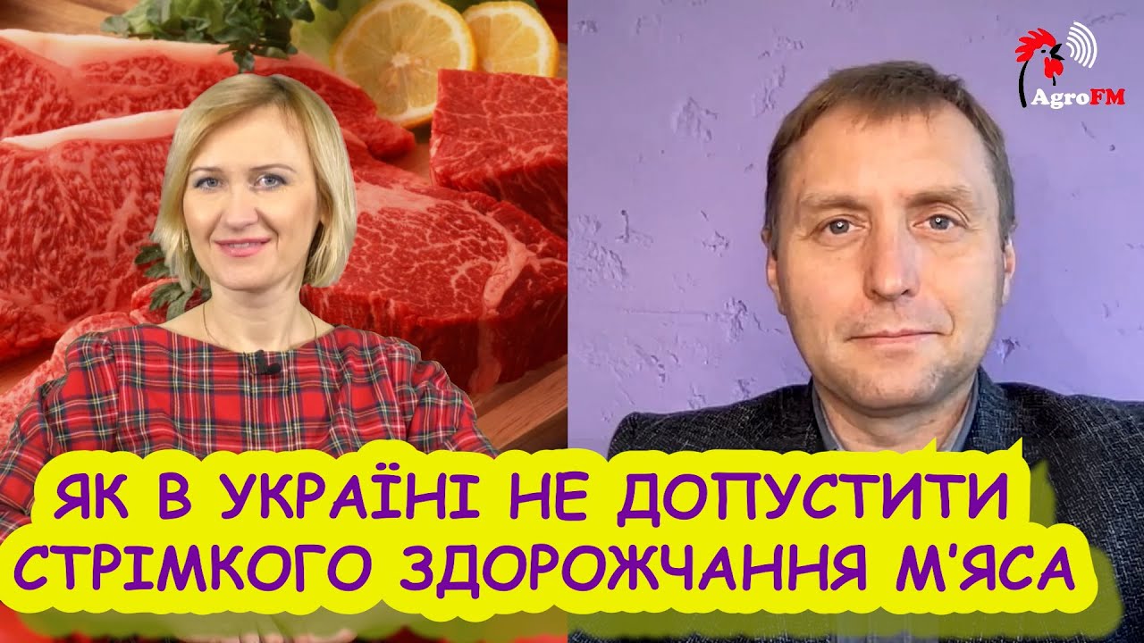 Інтерв'ю Миколи Бабенка: Як в Україні не допустити стрімкого здорожчання м'яса?