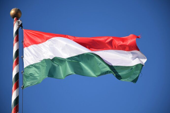 Угорщина зменшує національне поголів’я свиней
