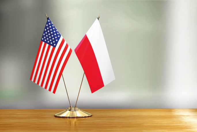 Польща імпортуватиме курятину до США