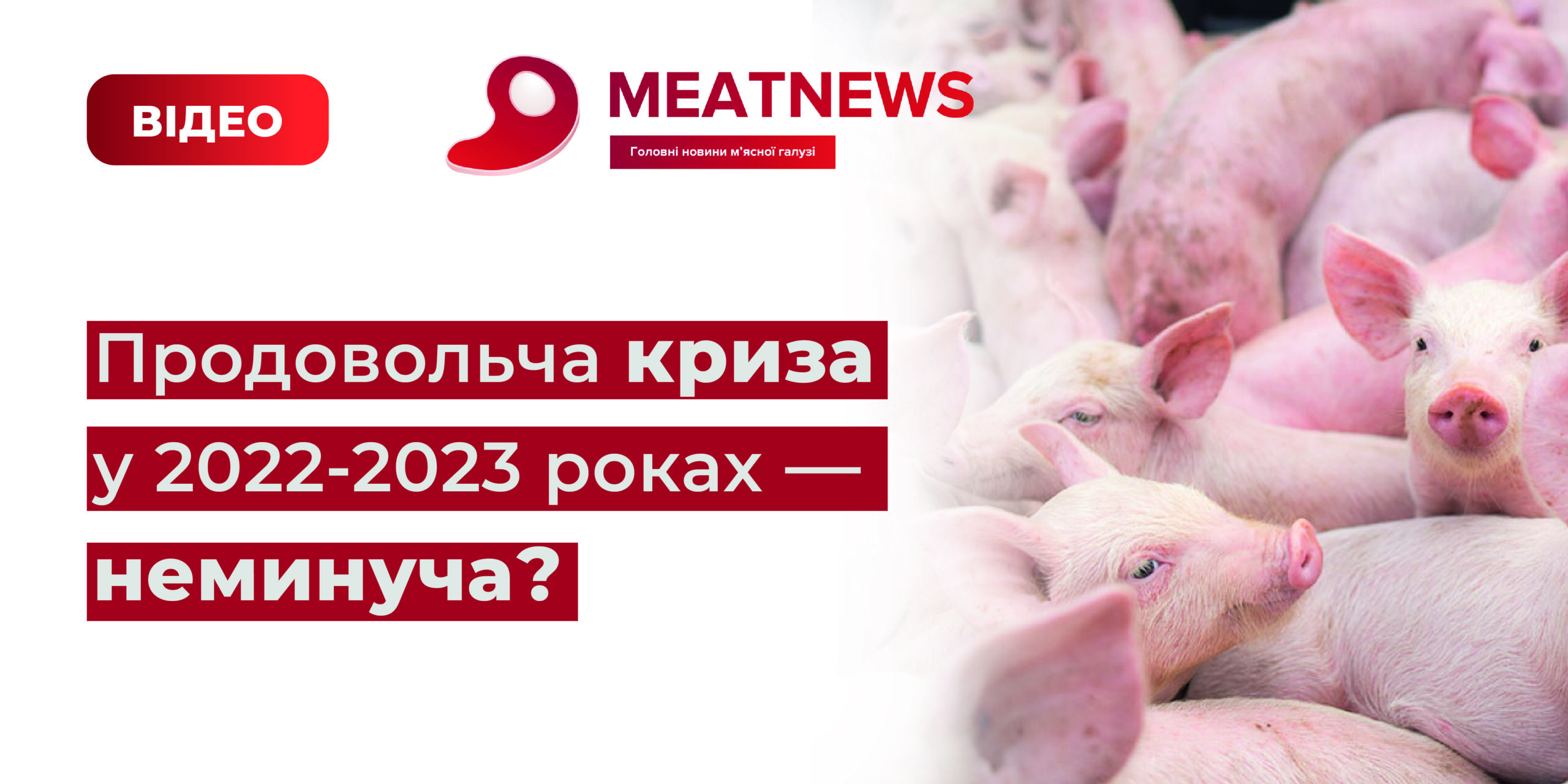 Продовольча криза у 2022-2023 роках неминуча?