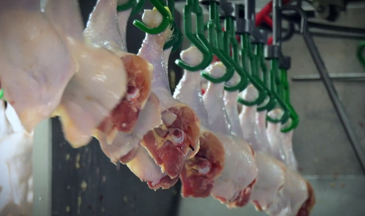 ЄС зняв обмеження на ввезення продукції птахівництва з України