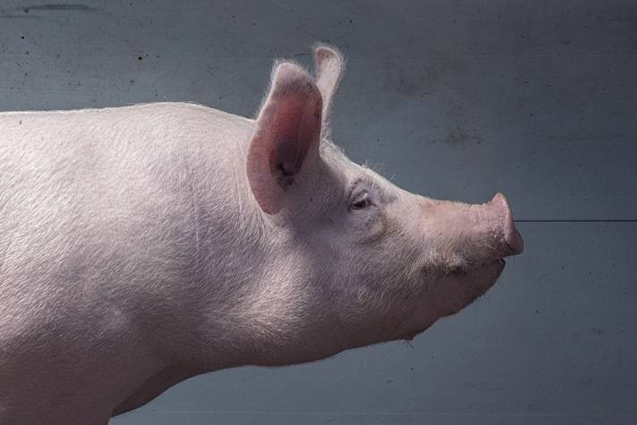 Ціни на продукти в Україні
