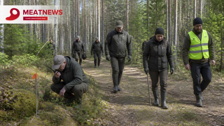 Фінляндія зафіксувала перший спалах АЧС: у зоні шукають ще мертвих кабанів